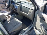 FORD ESCAPE XLT 1FMCU0DG8AKB42073 fotografie
