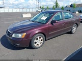 HYUNDAI SONATA GLS V6/LX V6 5NPEU46F66H026658 снимка
