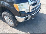 FORD F-150 XLT 1FTFW1EF8DKE74462 снимка