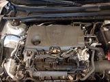 TOYOTA CAMRY LE 4T1C11BK6PU092261 photo