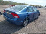 Honda Civic Ex 19XFA1F80BE011973 photo