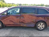 HONDA ODYSSEY EX-L 5FNRL5H64EB076088 снимка