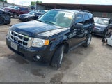 Ford Escape Xlt 1FMCU0D72AKA10362 снимка