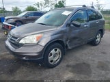 HONDA CR-V LX 5J6RE4H37BL010194 снимка