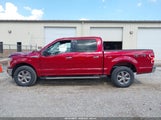 FORD F-150 XLT 1FTEW1EG9JKF49315 photo