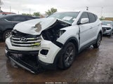 HYUNDAI SANTA FE SPORT 5XYZTDLB8DG066556 photo