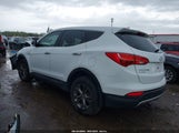 HYUNDAI SANTA FE SPORT 5XYZTDLB8DG066556 fotografie
