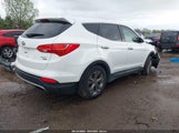 HYUNDAI SANTA FE SPORT 5XYZTDLB8DG066556 снимка