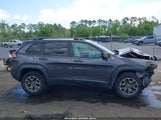 Jeep Cherokee Trailhawk 4X4 1C4PJMBX5LD527252 снимка
