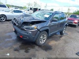 Jeep Cherokee Trailhawk 4X4 1C4PJMBX5LD527252 снимка