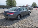 HONDA ACCORD 2.4 EX-L 1HGCP2F82BA083690 снимка
