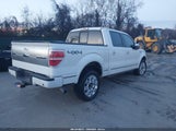 Ford F-150 Platinum 1FTFW1ETXDFB20554 снимка