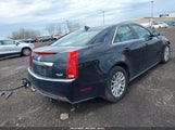 CADILLAC CTS STANDARD 1G6DC5EY9B0153096 fotografie