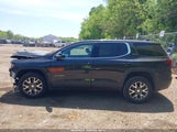 GMC ACADIA FWD SLE 1GKKNKLA4LZ223060 fotografie