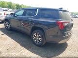 GMC ACADIA FWD SLE 1GKKNKLA4LZ223060 photo