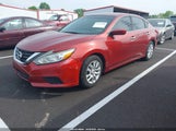 NISSAN ALTIMA 2.5/2.5 S/2.5 SL/2.5 SR/2.5 SV 1N4AL3AP5GN310236 photo