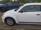 VOLKSWAGEN BEETLE #PINKBEETLE/1.8T CLASSIC/1.8T S 3VWF17AT4HM626004 photo