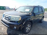 HONDA PILOT EX-L 5FNYF4H52BB005794 fotografie