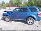 FORD ESCAPE XLT 1FMCU0DG8AKA12441 снимка