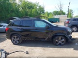 HONDA PASSPORT AWD TOURING 5FNYF8H96MB014947 fotografie