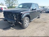 FORD F-150 XLT 1FTEW1EG8FFC44761 снимка