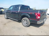 FORD F-150 XLT 1FTEW1EG8FFC44761 снимка