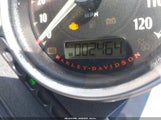 HARLEY-DAVIDSON XL883 N 1HD4LE239KC402760 снимка