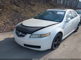 ACURA TL 19UUA66225A020800 снимка