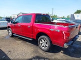 FORD F-150 XLT 1FTEW1EP8HFC29504 снимка