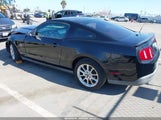 FORD MUSTANG V6/V6 PREMIUM 1ZVBP8AN5A5157571 fotografie