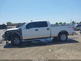 FORD F-150 XLT 1FTFW1ET1CKD43653 снимка