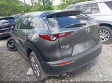 MAZDA CX-30 2.5 S PREMIUM 3MVDMBDM2PM526974 снимка