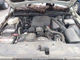 LINCOLN TOWN CAR SIGNATURE LIMITED 1LNHM82W75Y629962 photo