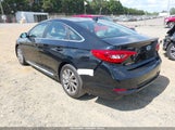 HYUNDAI SONATA SPORT 5NPE34AF5FH225582 photo