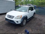 HONDA CR-V SE JHLRD78906C001831 снимка