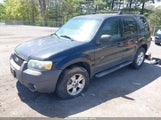 FORD ESCAPE XLT 1FMCU93Z17KA34829 снимка