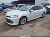 TOYOTA CAMRY XLE 4T1B11HK0KU841129 fotografie
