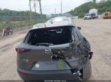 MAZDA CX-30 PREMIUM 3MVDMBDL5MM307476 снимка