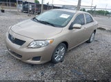 TOYOTA COROLLA LE 2T1BU40EX9C041643 снимка