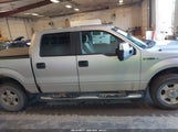 FORD F-150 XL/XLT 1FTEW1E82AFA31046 снимка
