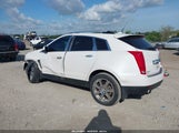 CADILLAC SRX PERFORMANCE COLLECTION 3GYFNBEYXBS543819 снимка