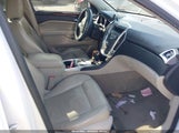 CADILLAC SRX PERFORMANCE COLLECTION 3GYFNBEYXBS543819 снимка