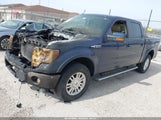 FORD F-150 FX4/HARLEY-DAVIDSON/KING RANCH/LARIAT/PLATINUM/XL/XLT 1FTFW1EV8AKA14527 fotografie