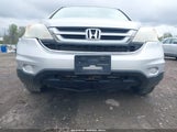 HONDA CR-V EX-L 5J6RE4H73AL001011 photo