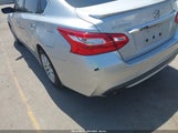NISSAN ALTIMA 2.5/2.5 S/2.5 SL/2.5 SR/2.5 SV 1N4AL3AP7GC230562 fotografie