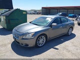 NISSAN MAXIMA 3.5 S/3.5 SV 1N4AA5AP9EC464605 photo