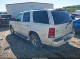 CADILLAC ESCALADE STANDARD 1GYEC63N65R243624 снимка
