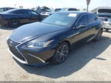 Miniaturka zdjęcia 2