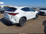 LEXUS NX 350H PREMIUM JTJGKCEZXR5013787 снимка