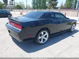 DODGE CHALLENGER SXT 2C3CDYAG7DH653555 photo